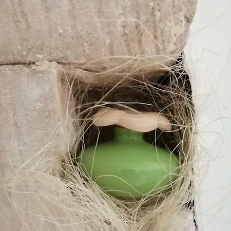 Nicuzza * ラグーザ