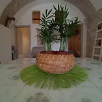 Nicuzza