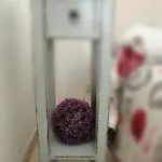 Nicuzza
